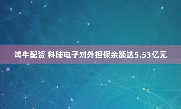 鸿牛配资 科陆电子对外担保余额达5.53亿元