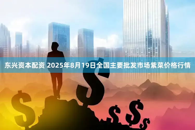 东兴资本配资 2025年8月19日全国主要批发市场紫菜价格行情