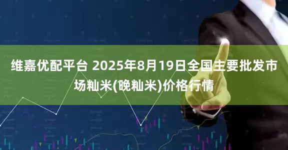 维嘉优配平台 2025年8月19日全国主要批发市场籼米(晚籼米)价格行情