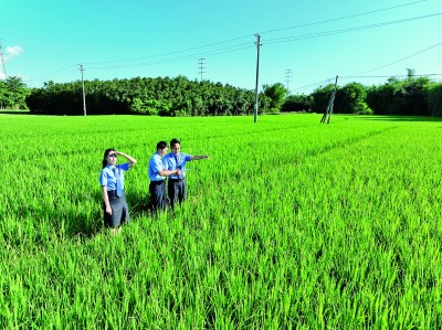 诚信-优配  “检察蓝”守护生态绿——“十四五”期间检察机关以高质效公益诉讼服务美丽中国建设